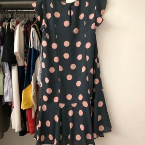 Anne Taylor Loft Polka Dot Shift Dress